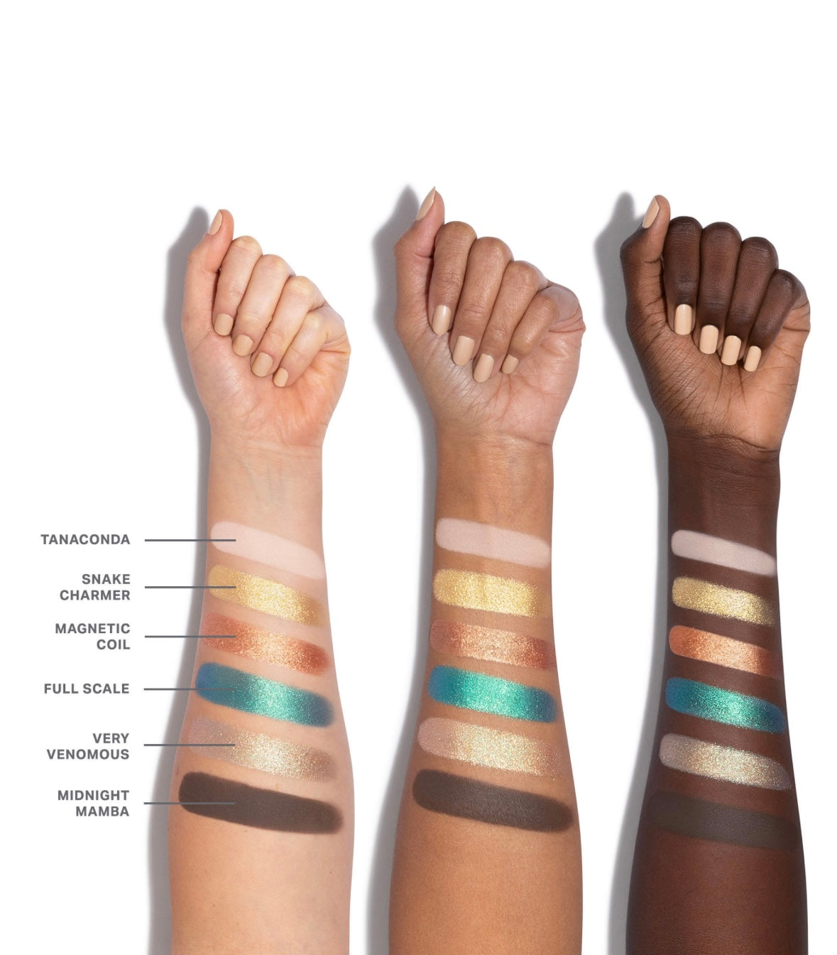 Morphe  ChromaPlus 6-Pan Eyeshadow Palette