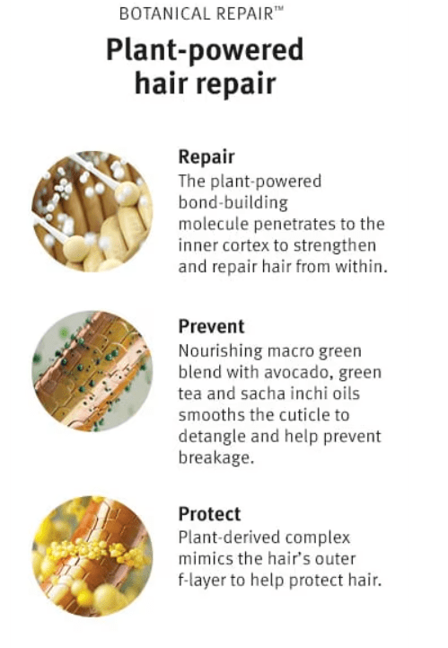 Aveda - sérum réparateur de nuit botanical repair - Carte Blanche